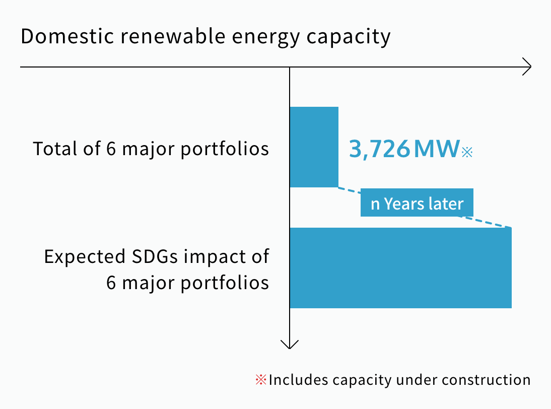 Domestic renewable energy capacity
